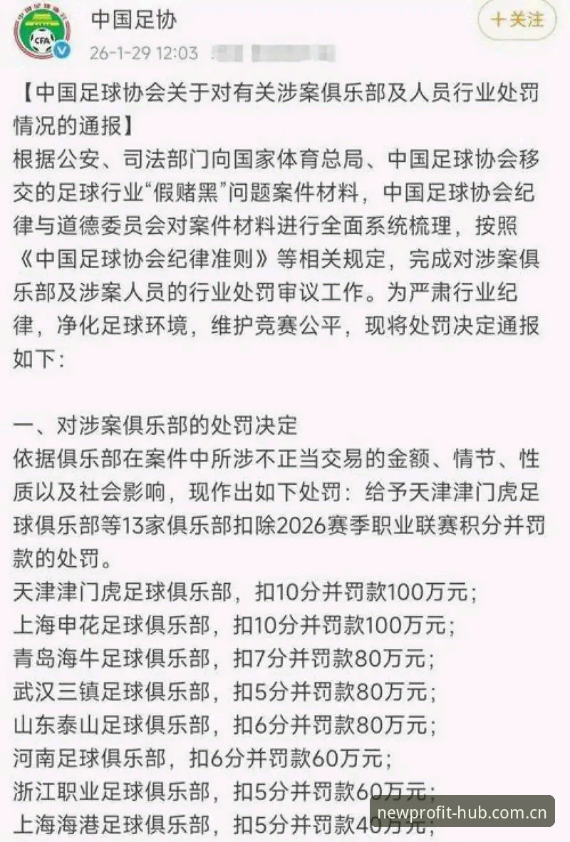 中国足协第三批禁足名单深度解析与平台信息查询操作教程