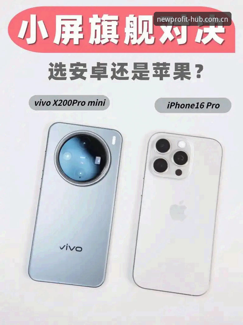 新利平台手机版安卓版vs官方网页版：哪个更适合新手？全面对比与选择指南